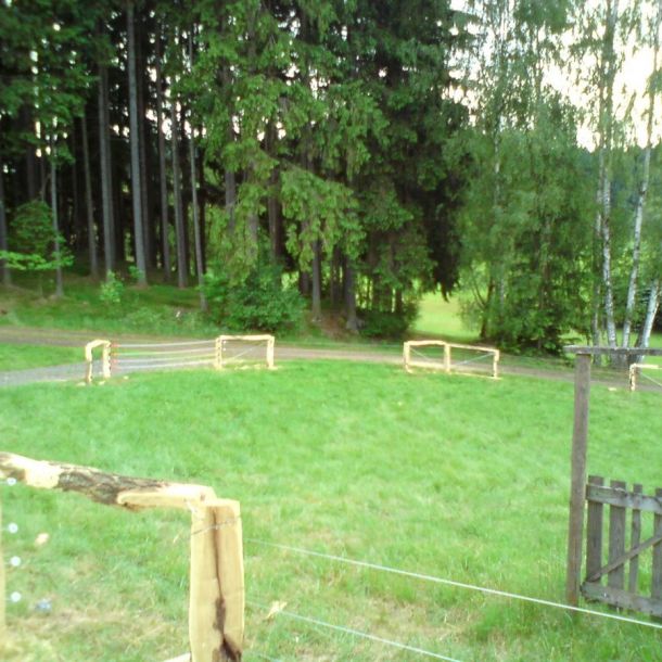 DSC00804
