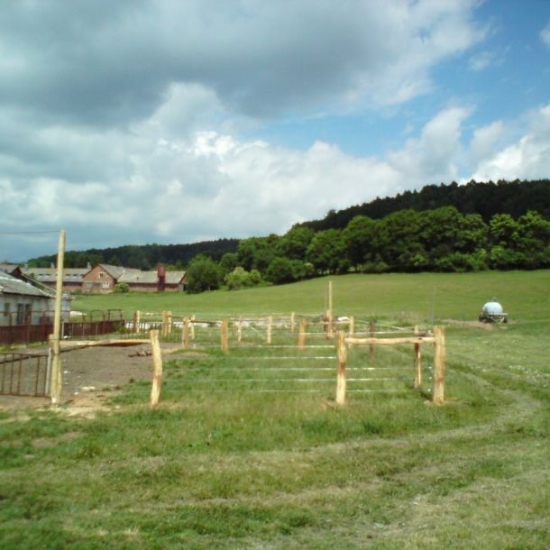 DSC00817