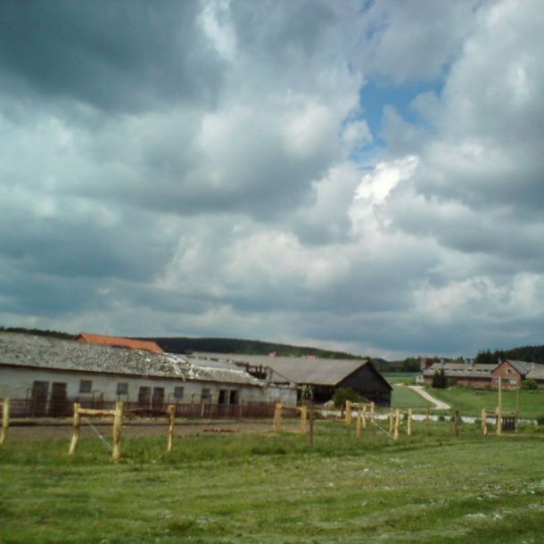 DSC00818