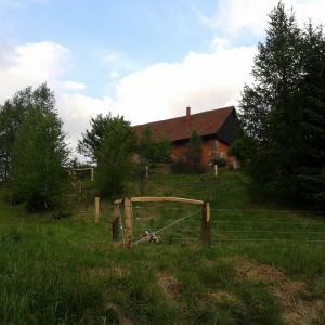Fotografie 0019