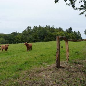 P1040387