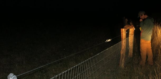 IMG 7823