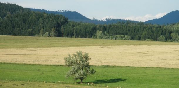 P7191056
