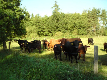 27. Tuněchody