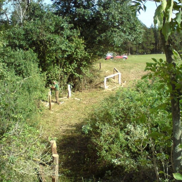 DSC00962