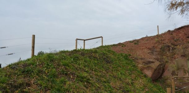 P1040500
