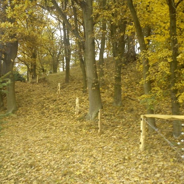 DSC00045