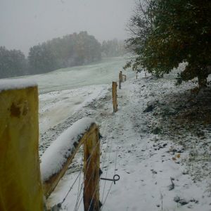 DSC00053