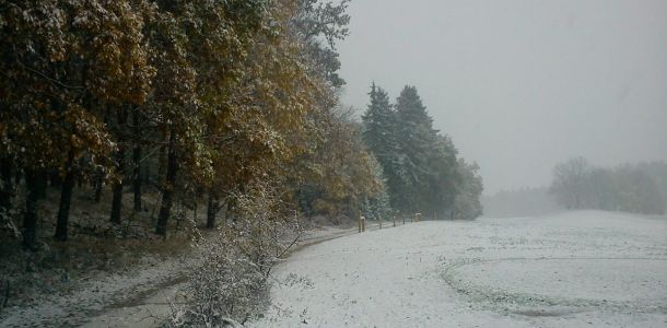 DSC00056
