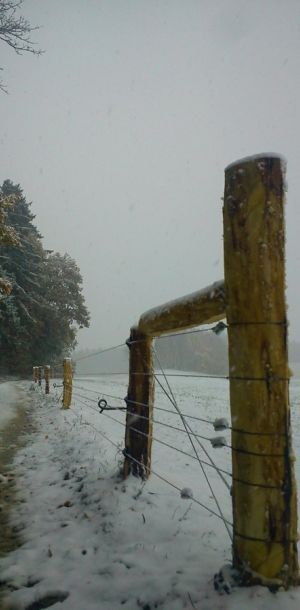DSC00061