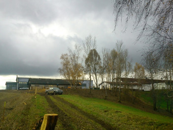 31. Hustířany