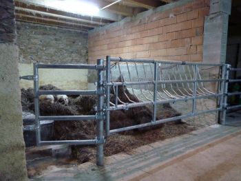 37. Doubravčany - montáž zábran v zimovišti