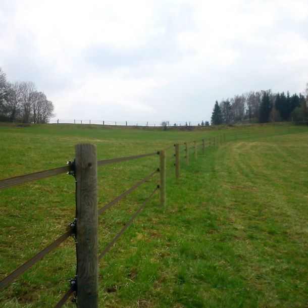 DSC00345