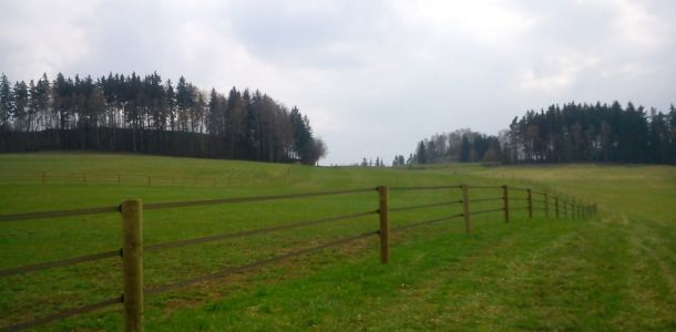 DSC00349
