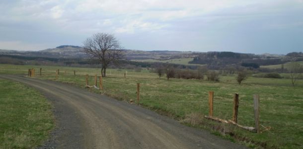a 008