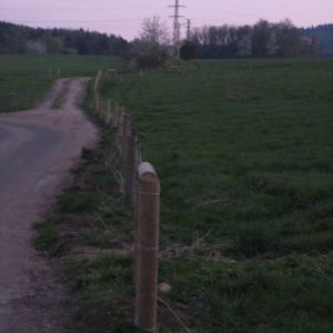 1IMG 1427