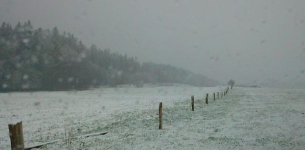 DSC00096