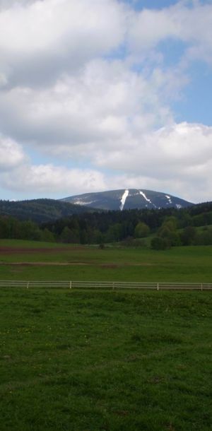 c 020