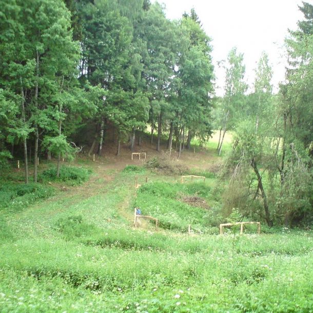 DSC00419