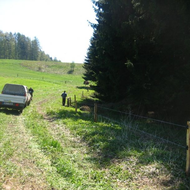 IMG 1586