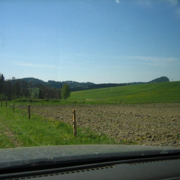 IMG 1620