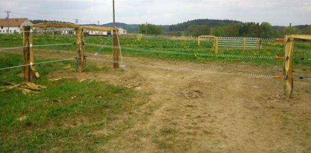 DSC00133