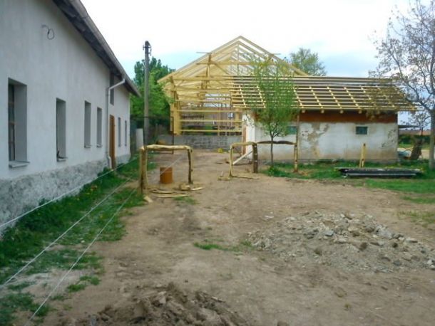 DSC00136