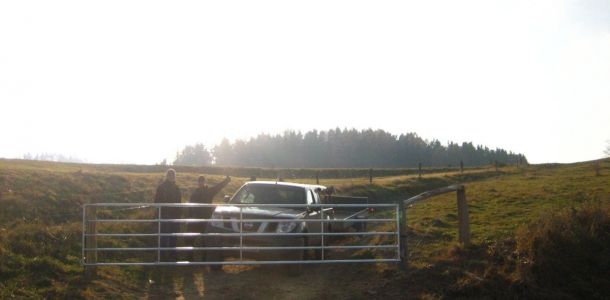 IMG 4682