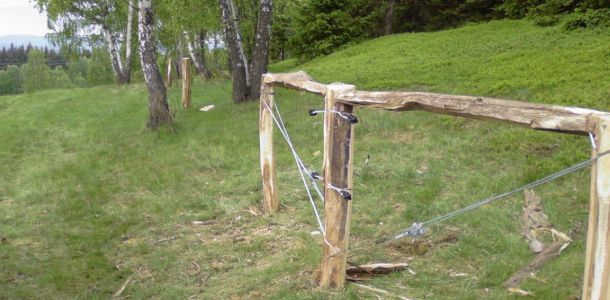 Photo 0064