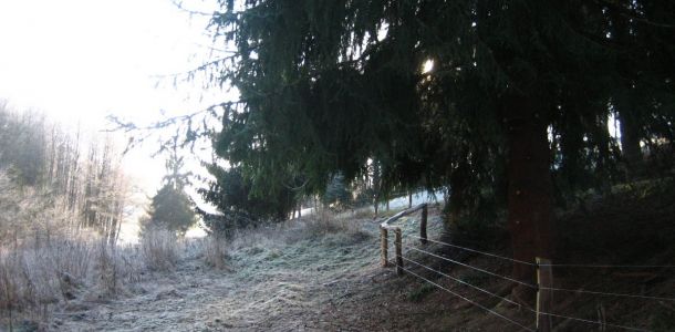 IMG 4793
