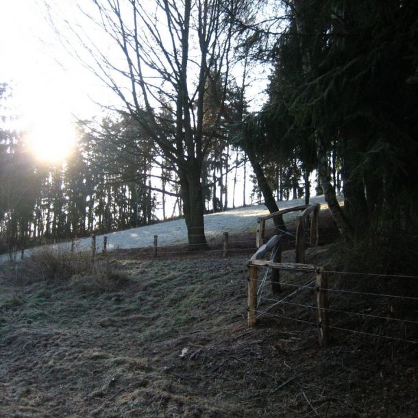 IMG 4794