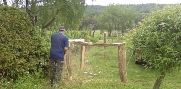 Photo 0017