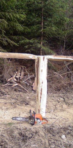Photo 0070