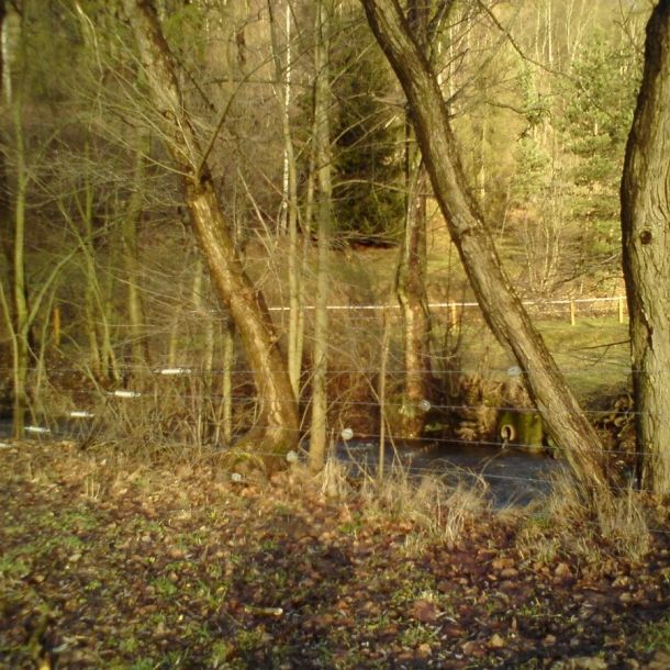 DSC00638