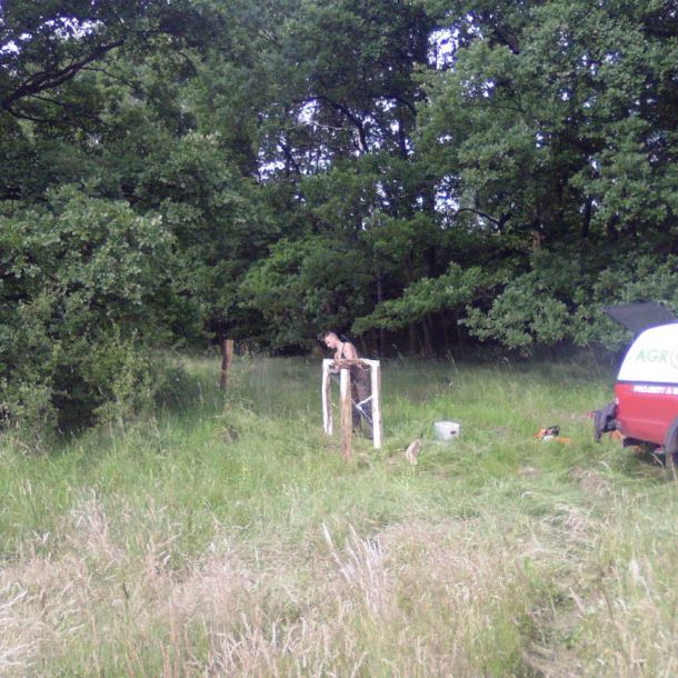 Photo 0011