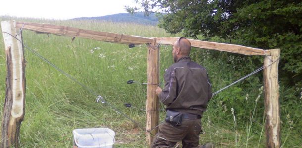 Photo 0014