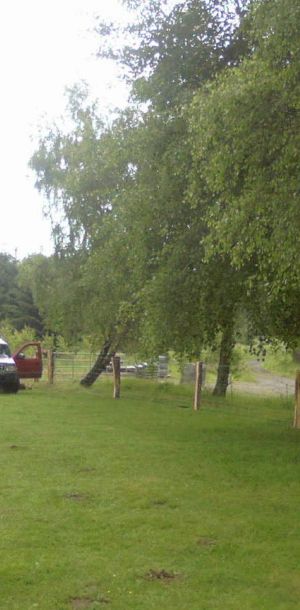 Photo 0084