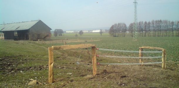 DSC00083