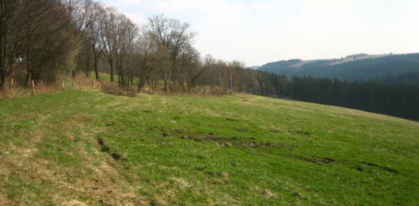 IMG 6994