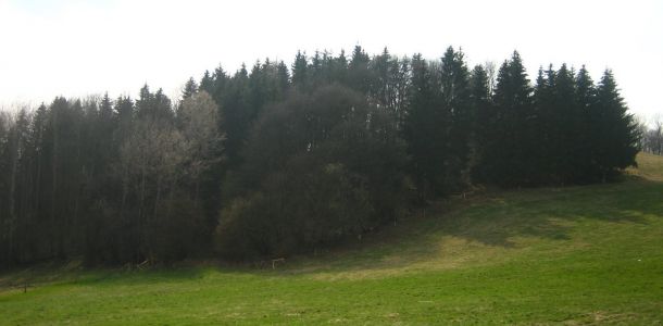 IMG 6998