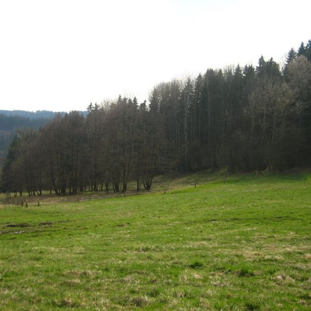IMG 6999