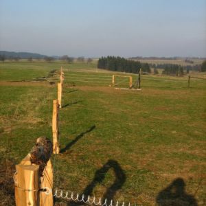 IMG 7082