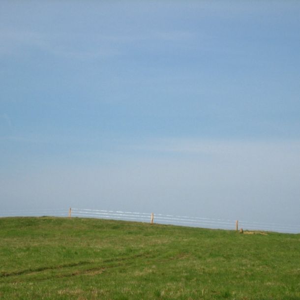 IMG 7090