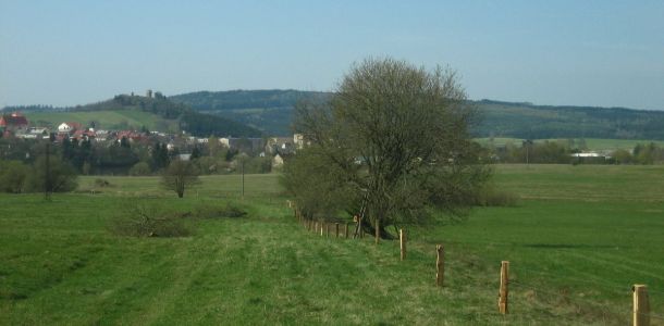 IMG 7112