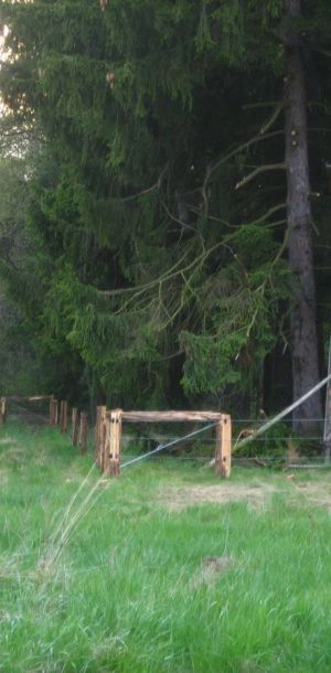 IMG 7184