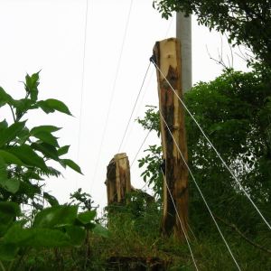 IMG 7278
