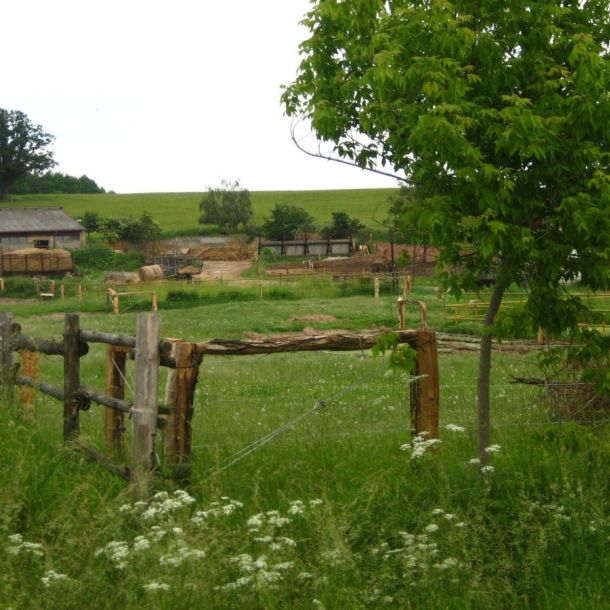 IMG 7574