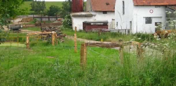 IMG 7576