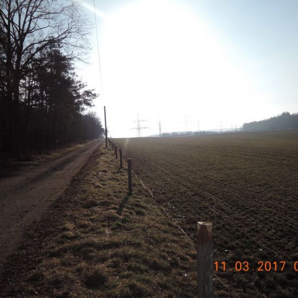 DSCN3372
