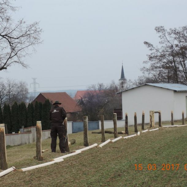 DSCN3429